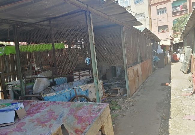 الغموض يلف قضية أسوق في حالة «عطالة» بمدينة الدار البيضاء
