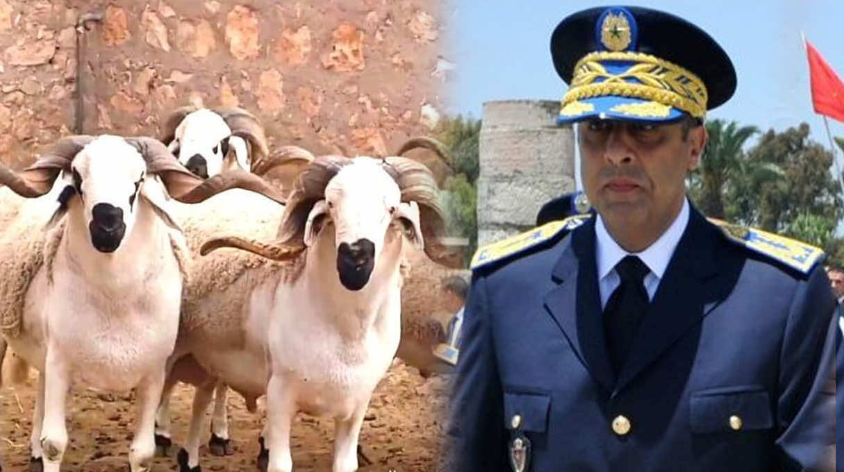 منحة استثنائية لمتقاعدي و أرامل أسرة الأمن الوطني بمناسبة عيد الأضحى