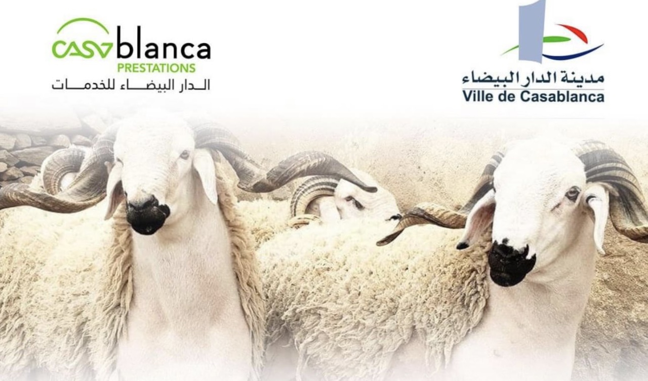مجازر الدار البيضاء  تحدد سعر خدمة إيواء وذبح الأضاحي