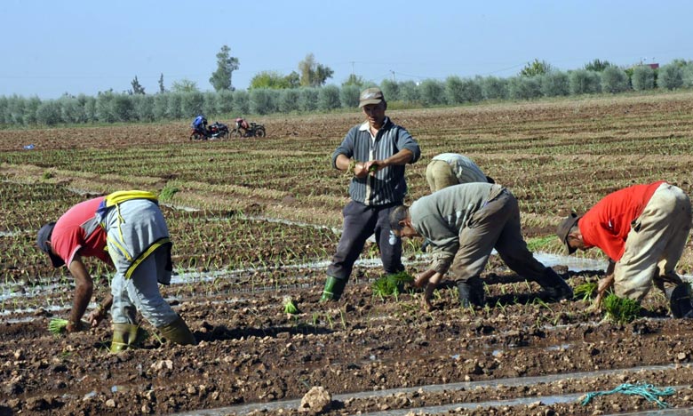 اجتماع تنسيقي بالدار البيضاء حول البرنامج الشامل للتنمية الزراعية في أفريقيا