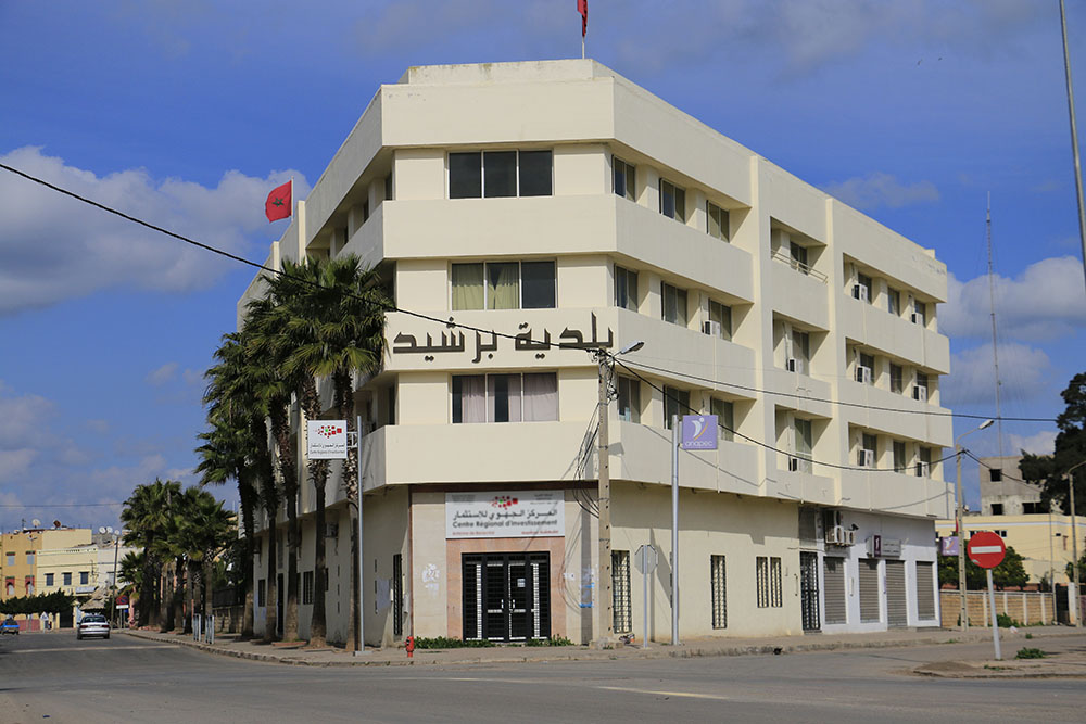 بعد كثرة الشكايات.. جماعة برشيد تشن حملة لجمع الكلاب الضالة