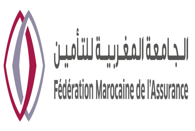 الجامعة المغربية للتأمين تفعل نظام التغطية لفائدة ضحايا زلزال الحوز